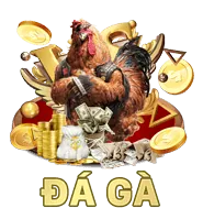Công bằng minh bạch 79 King 3