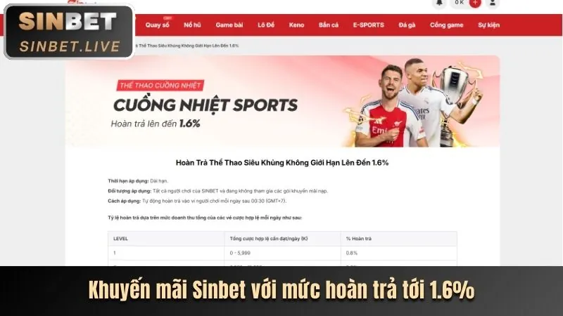 Hoàn trả không giới hạn 79 King 3